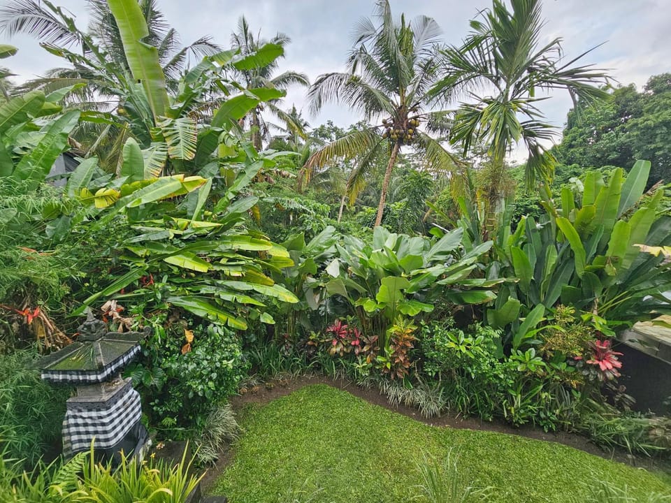 Garden view