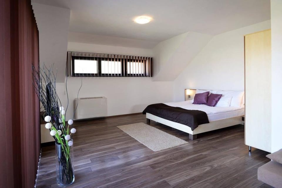 Szalóki Üdülőház Apartment in Hungary