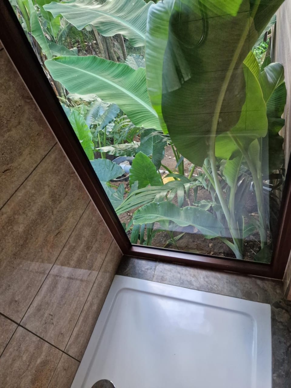 Natural landscape, Bathroom, Garden view
