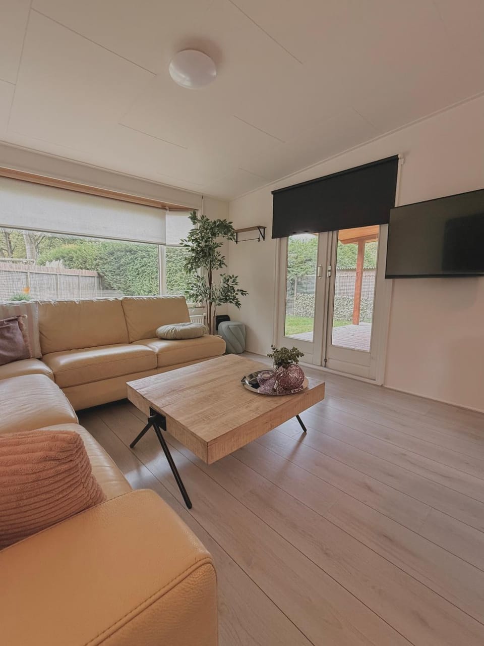 Ermwood Cottage House in Drenthe (province)