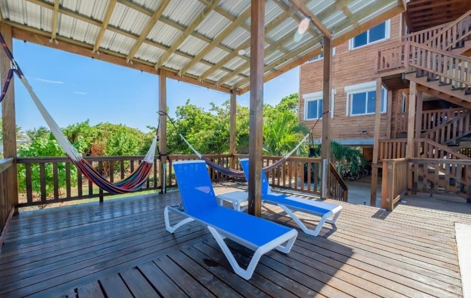 Patio, sunbed