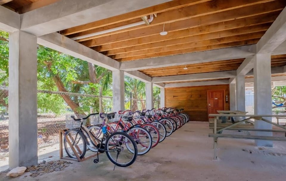 Cycling