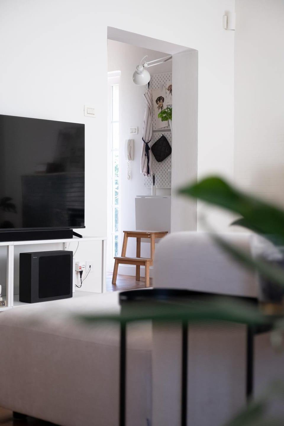 TV and multimedia, Evening entertainment