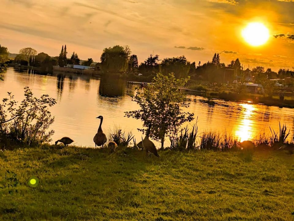 Lake view