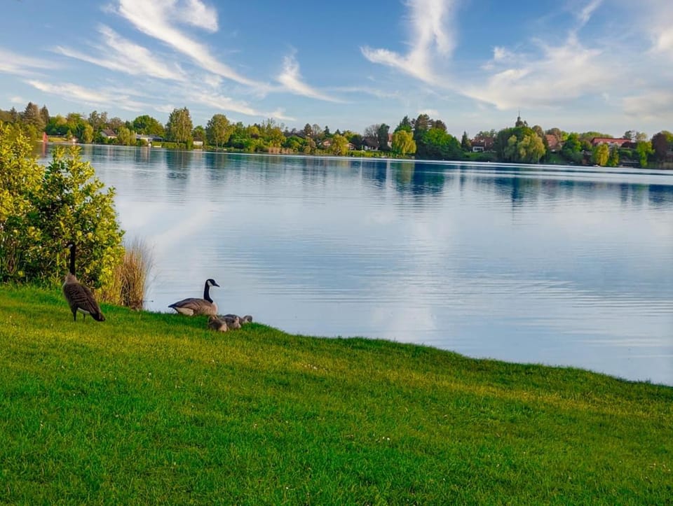 Natural landscape