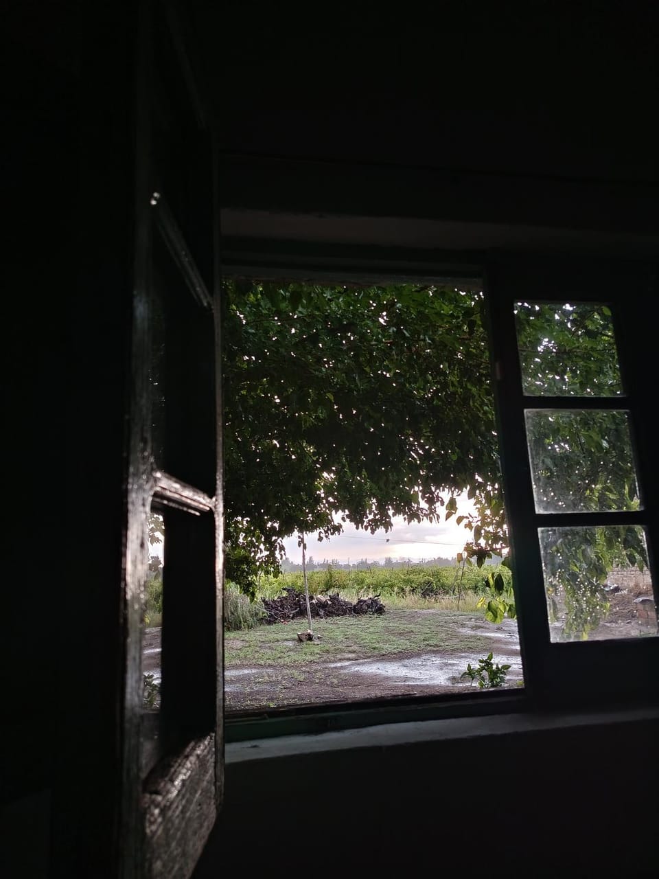 Garden view