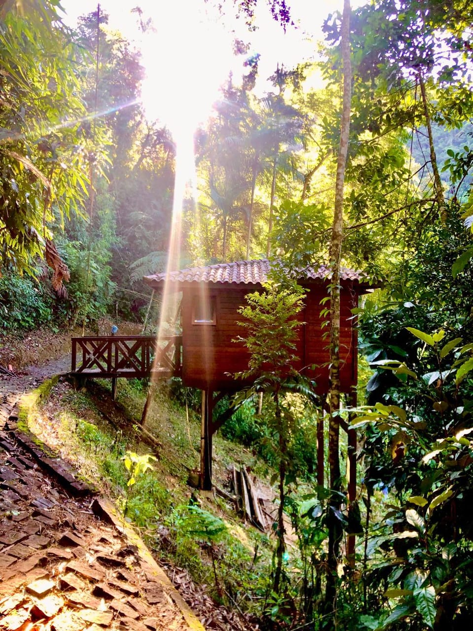 Refúgio eco Lodge Nature lodge in State of Rio de Janeiro