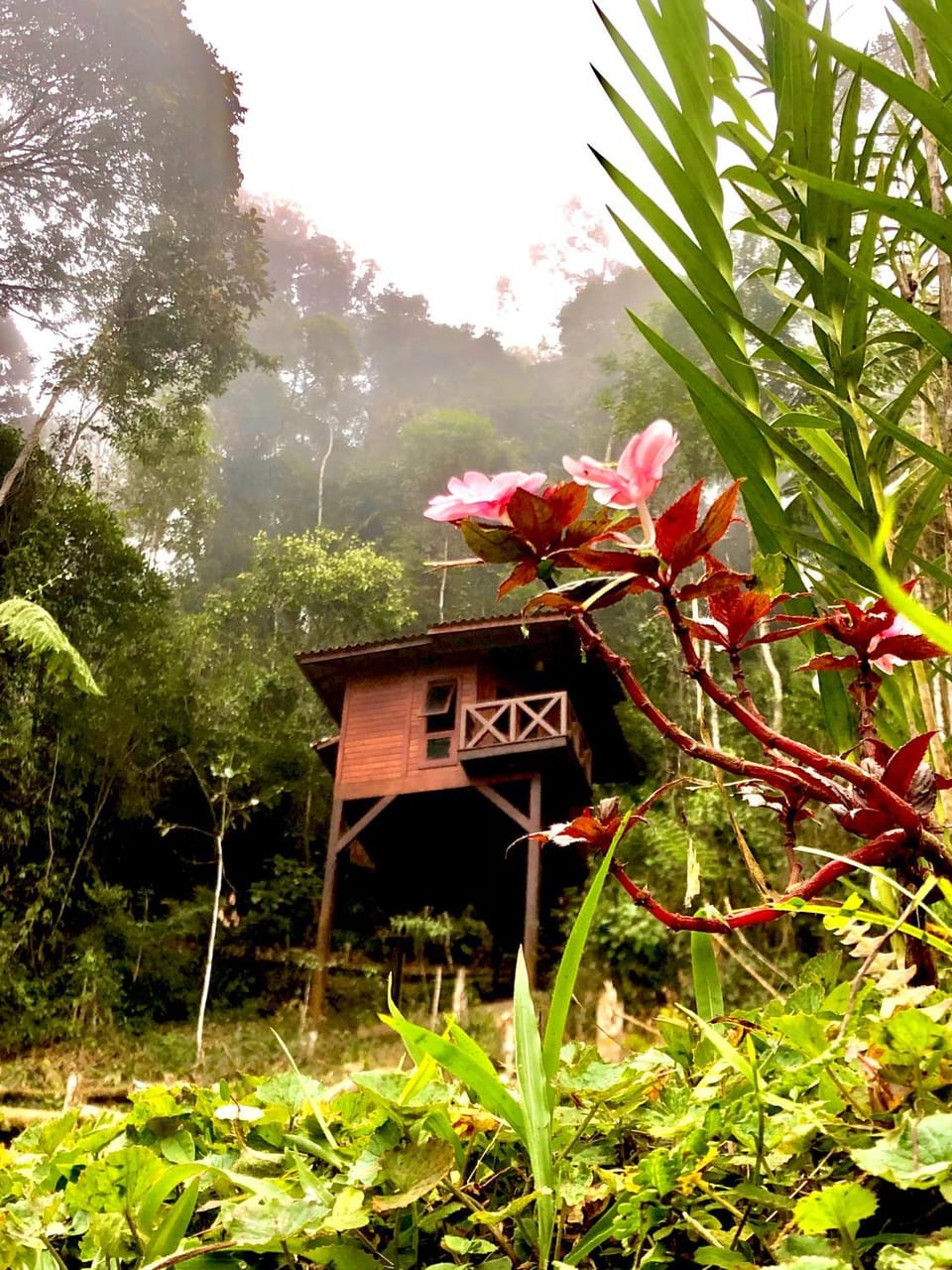 Refúgio eco Lodge Nature lodge in State of Rio de Janeiro