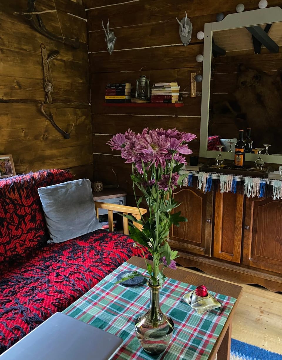 Casa lupilor House in Romania