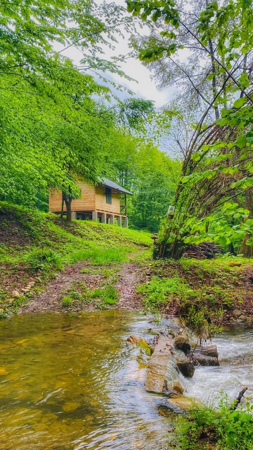 Casa lupilor House in Romania