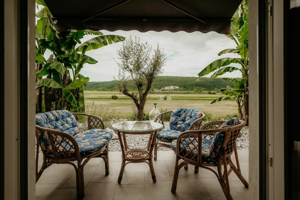 Patio, Seating area