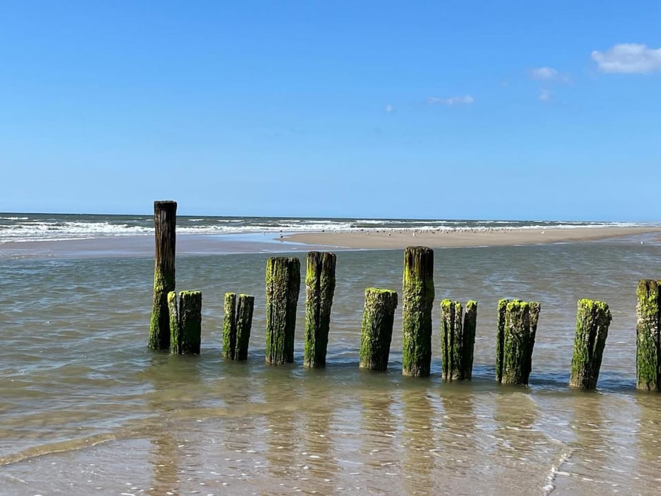 Villa Louise Villa in Bergen aan Zee