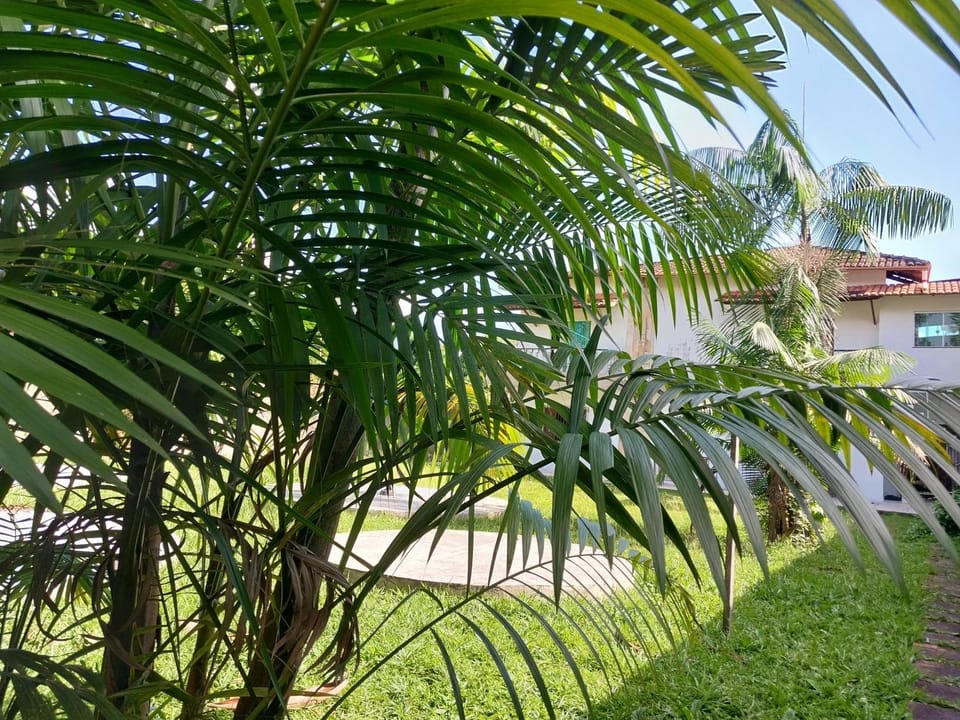 Cop 30 urban Amazon Paradise 5 bedrooms 7 beds House in Belém