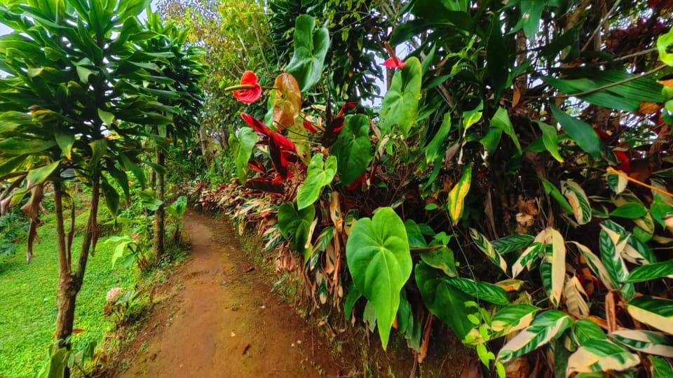 Ecoturismo Las Cascadas Campground/ 
RV Resort in Valle del Cauca