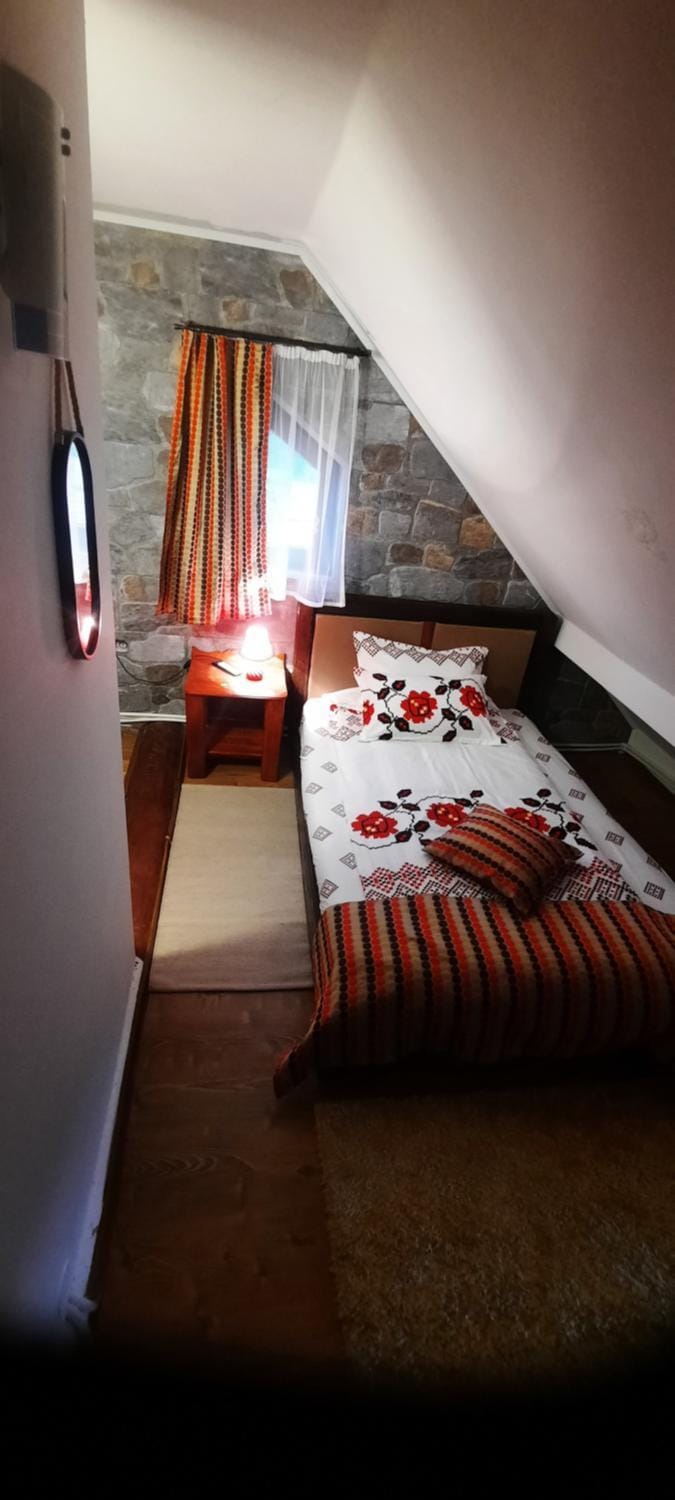 Cabana Ollie Retezat House in Romania