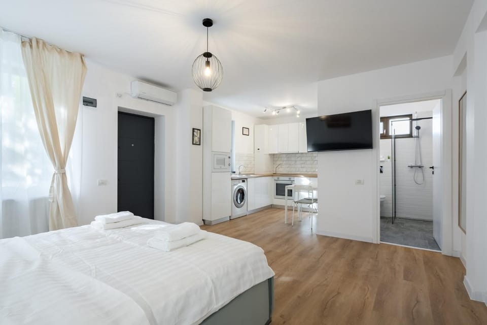Bed, TV and multimedia, Kitchen or kitchenette, Photo of the whole room, oven, stove, towels, washing machine