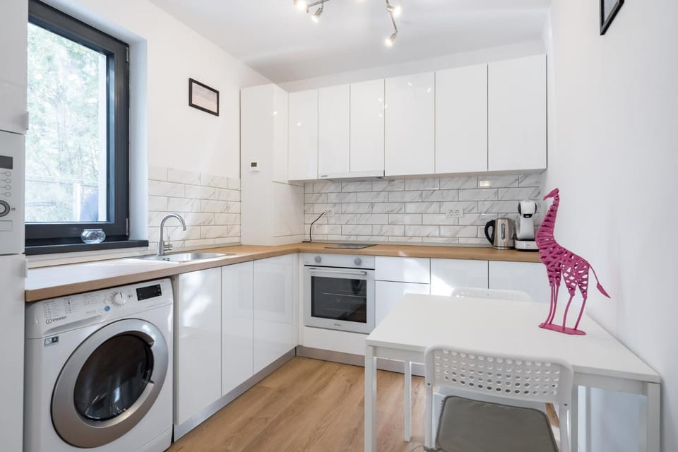 Kitchen or kitchenette, oven, stove, washing machine