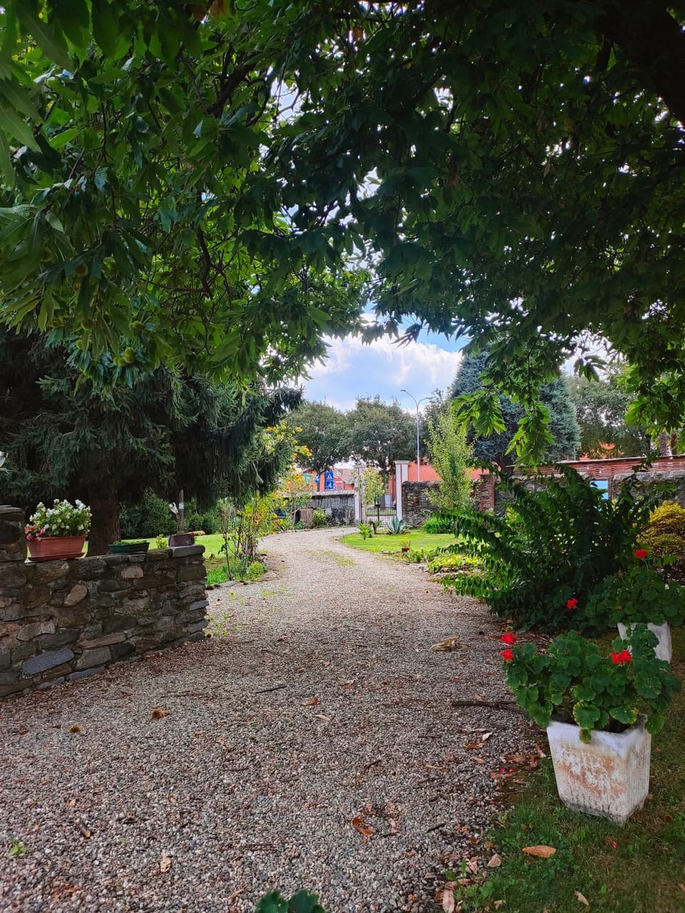 Garden view