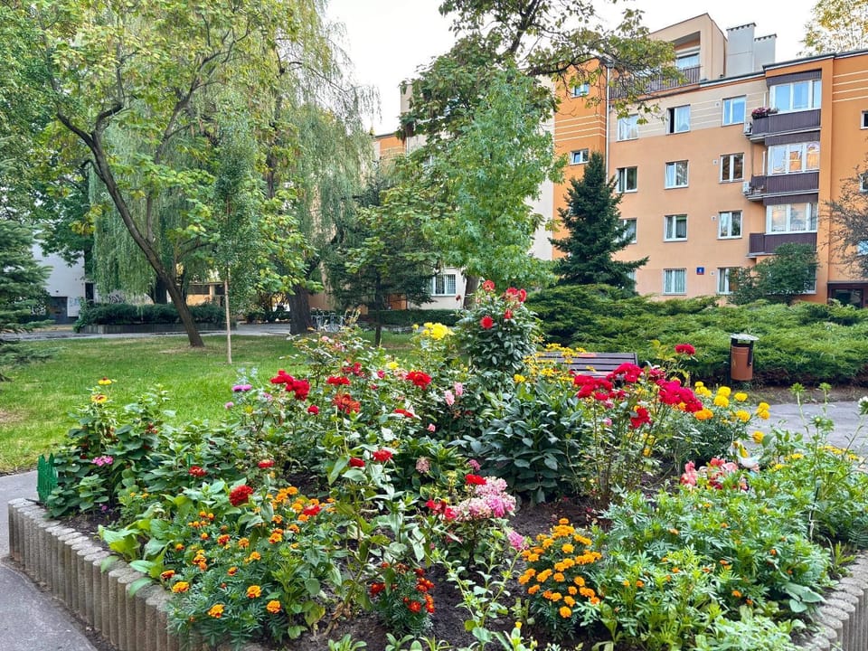 Property building, Garden view