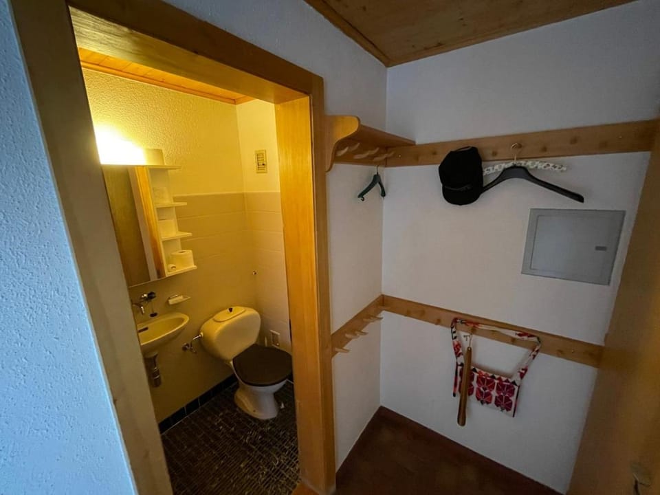Nice apartment with great views in Anzère Apartment in Canton of Valais