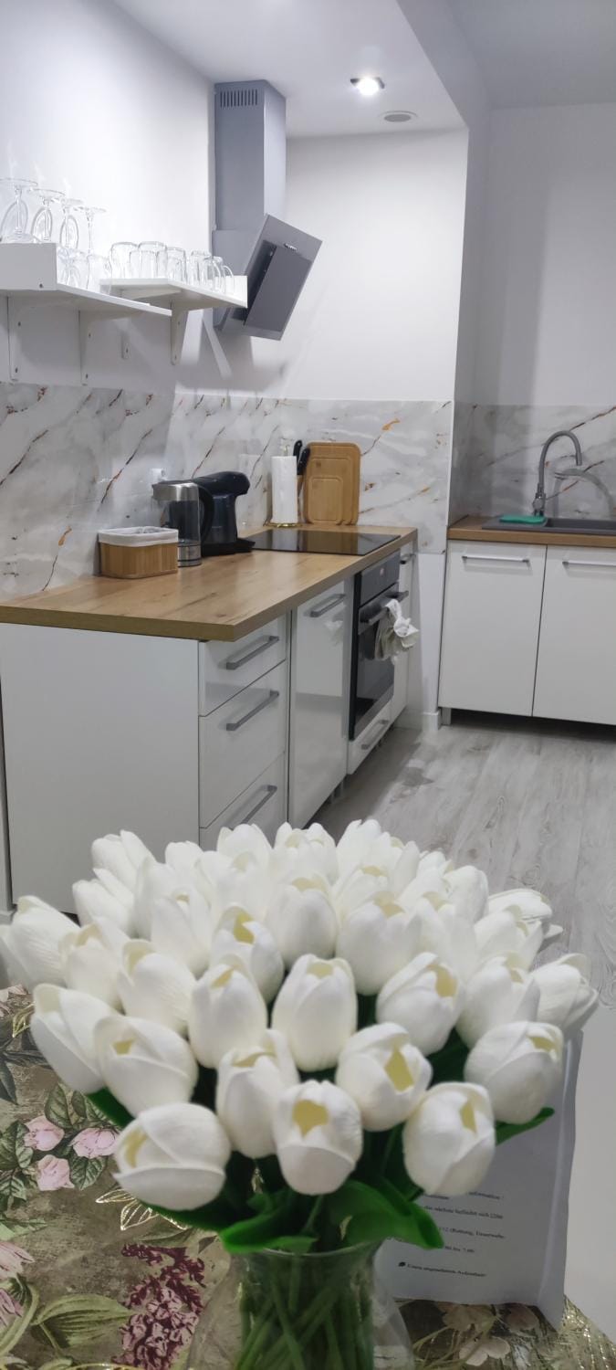 Kitchen or kitchenette, stove