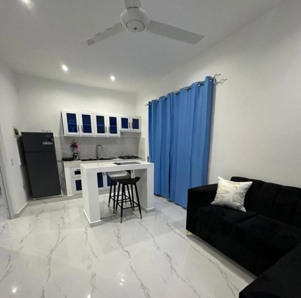 Casi de Aleyda Apartment in Las Terrenas
