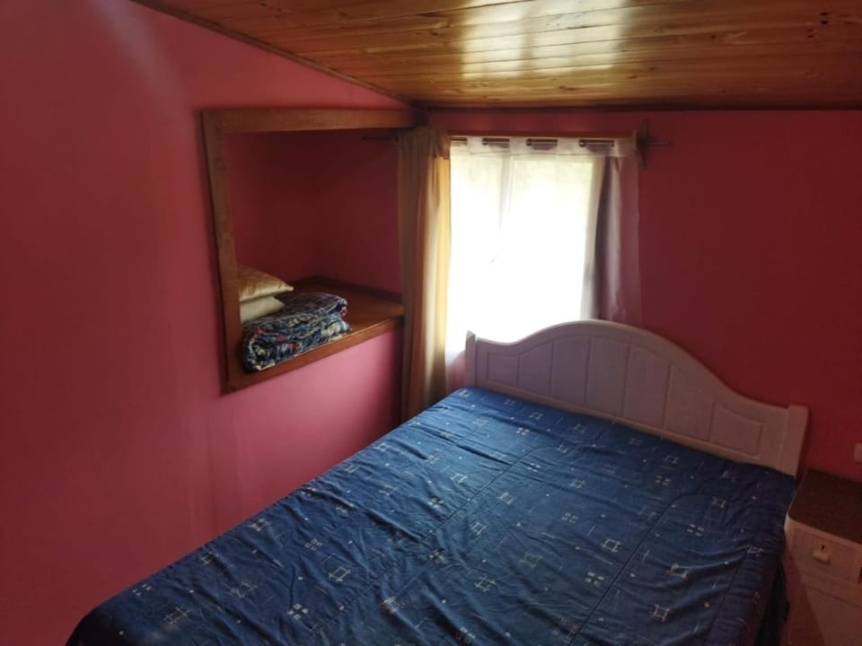 Cabañas Bosques del Totoral Apartment in Valparaíso Region
