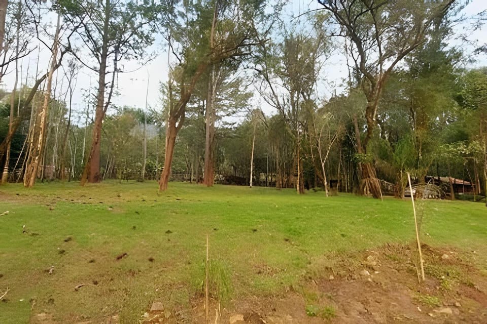 Cabana Andorinha Apartment in State of Rio Grande do Sul