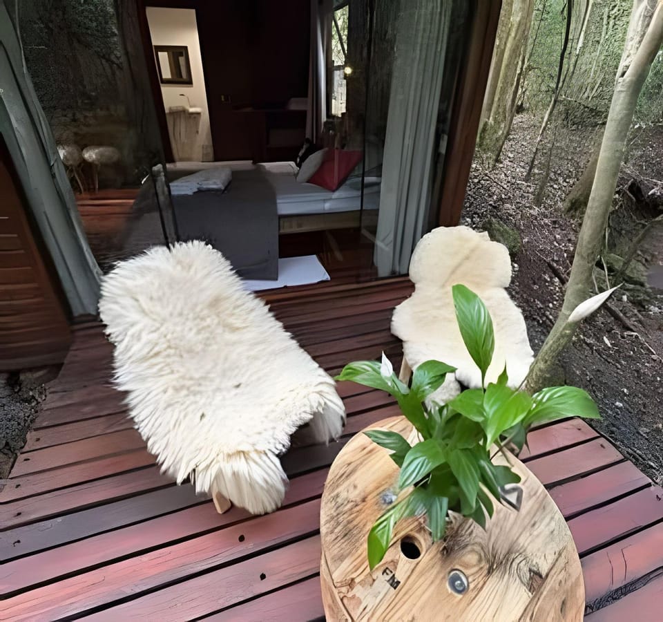 Cabana Andorinha Apartment in State of Rio Grande do Sul