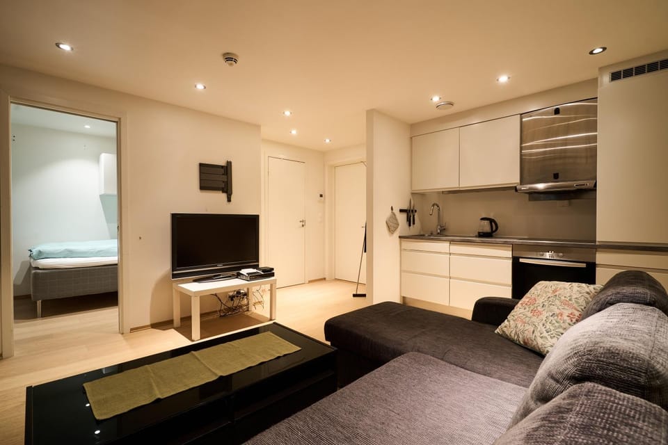 Central apartment with a lovely view! Apartment in Tromso