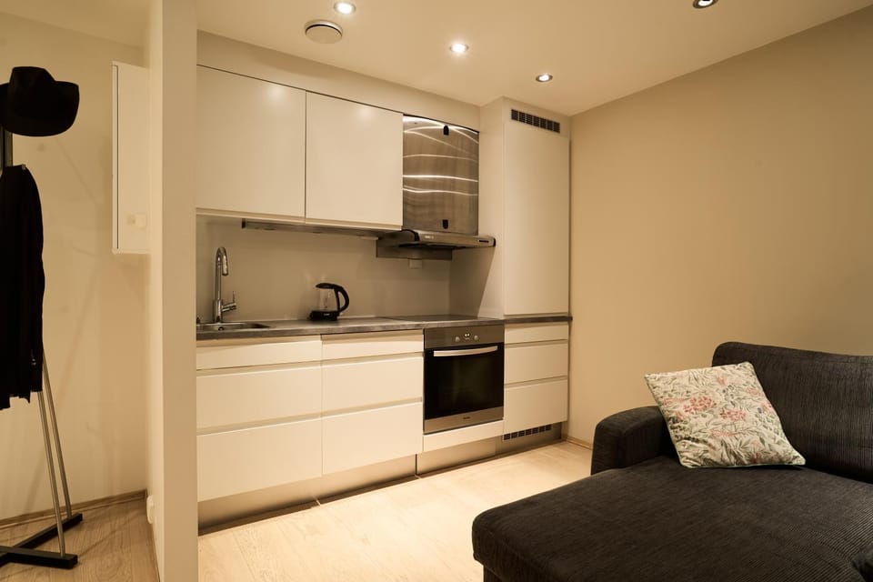 Central apartment with a lovely view! Apartment in Tromso
