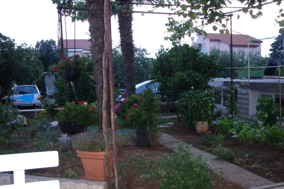 Location, children, Family