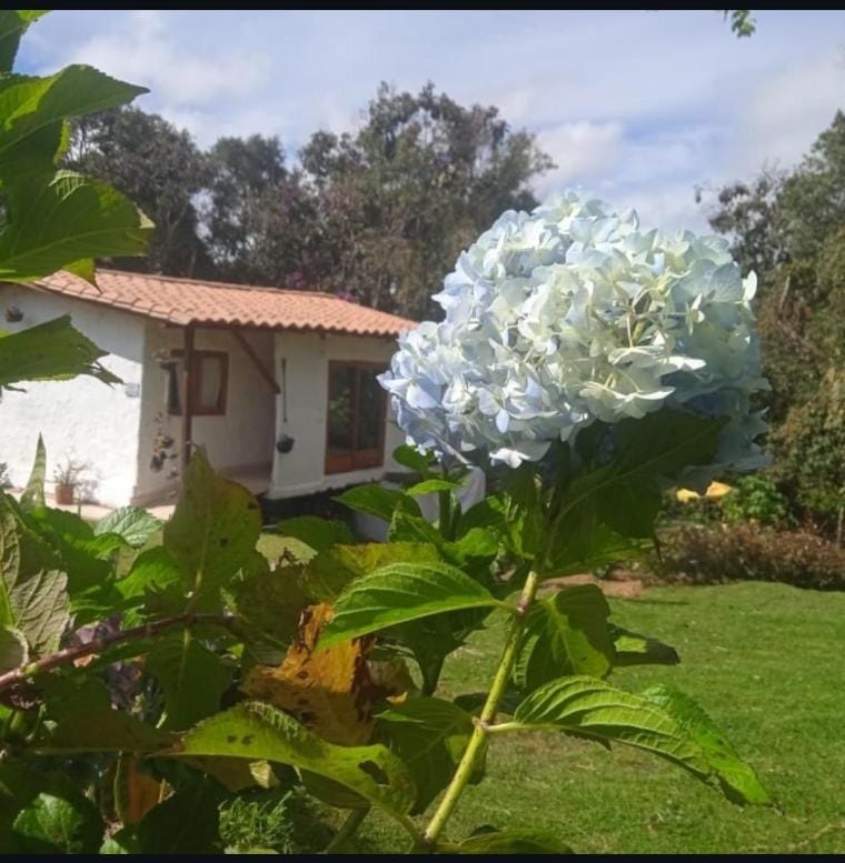 Cabaña campestre House in Antioquia