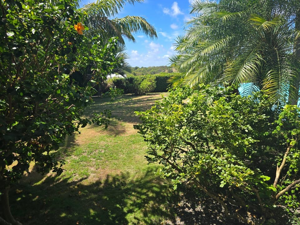 Natural landscape, Garden