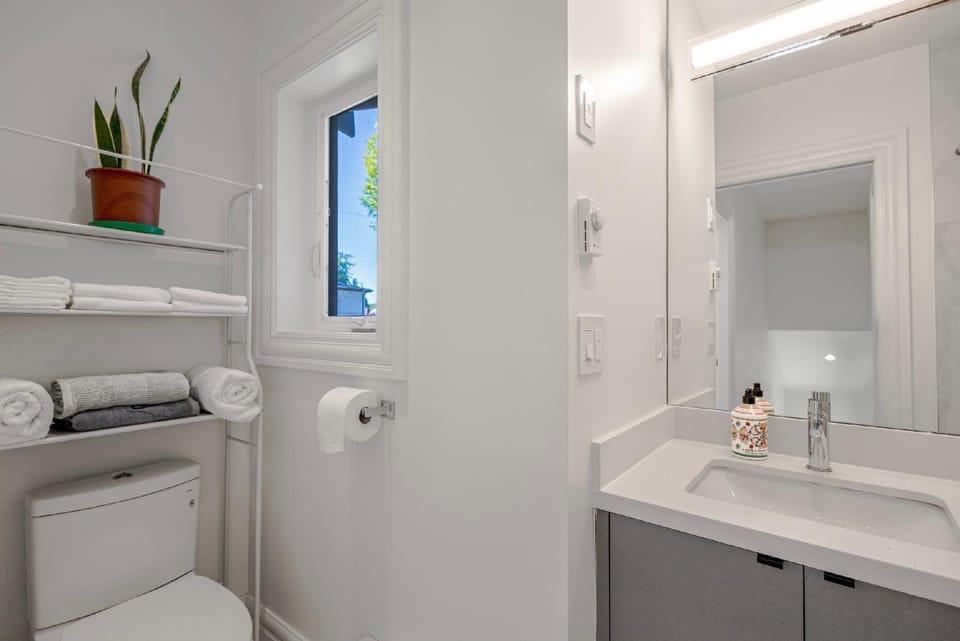 Toilet, hair dryier, towels