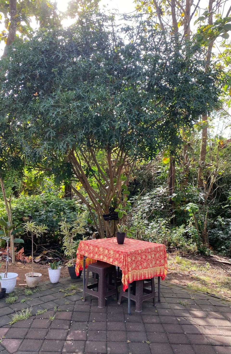 Garden view