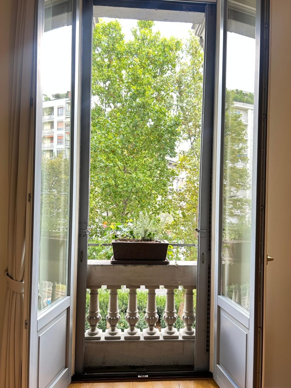 View (from property/room)