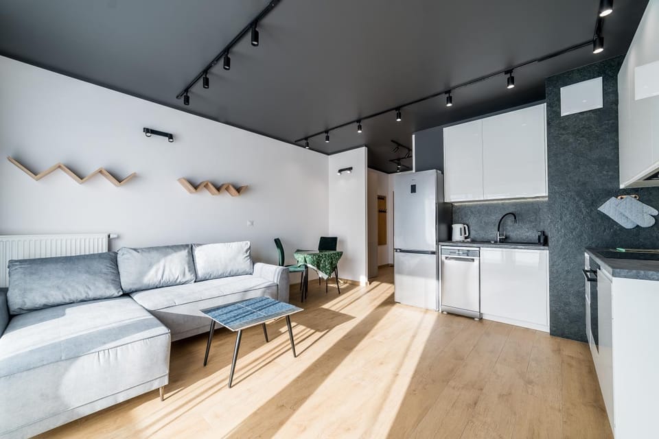 Kitchen or kitchenette, Living room, Seating area, dishwasher, oven, stove