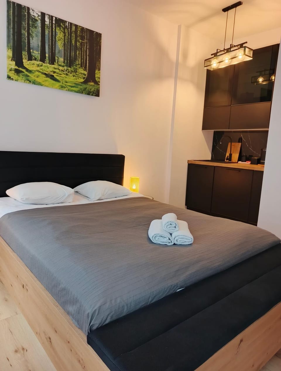 Old Town 24 Apartment in Greater Poland Voivodeship
