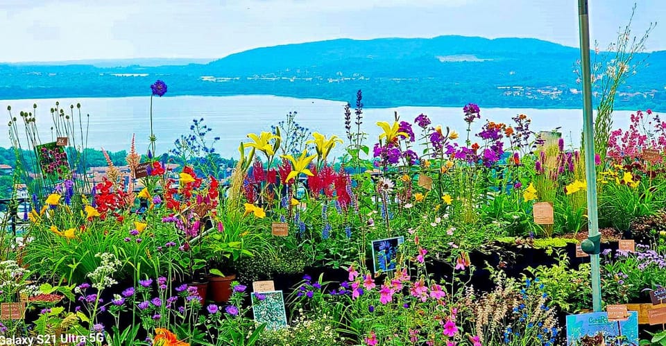 Nearby landmark, Garden, Lake view, Mountain view