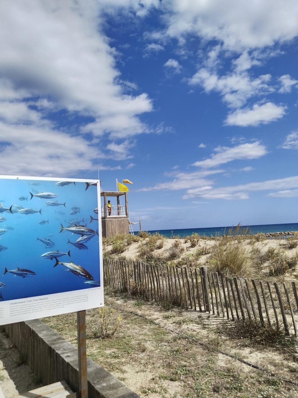 Nearby landmark, Beach