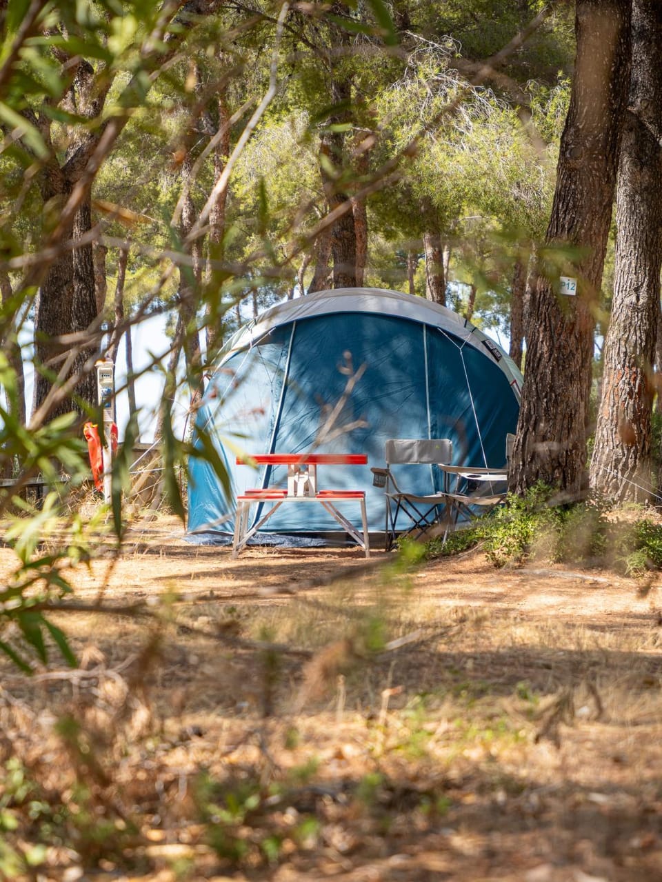 Camping Les Dauphins Campground/ 
RV Resort in La Cadière-d'Azur
