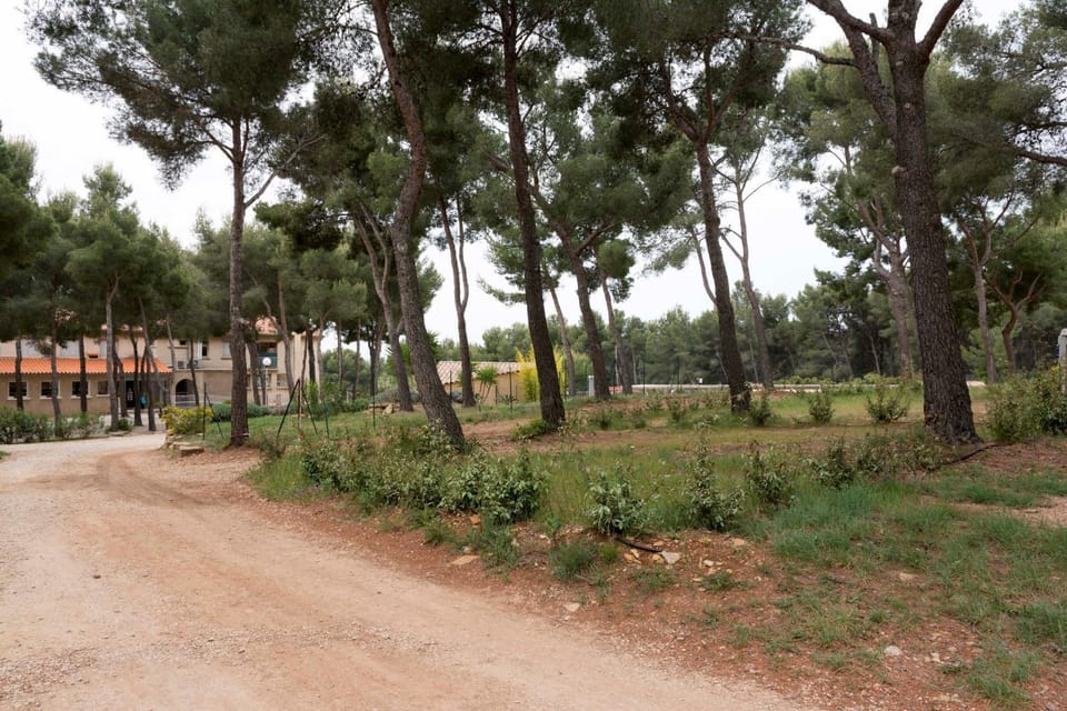 Camping Les Dauphins Campground/ 
RV Resort in La Cadière-d'Azur