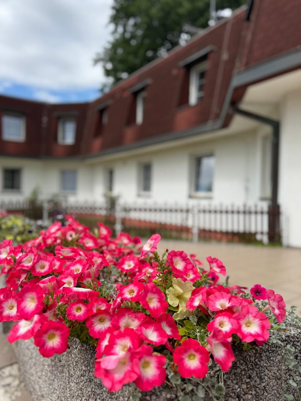 Park Pension Bed and Breakfast in Czechia