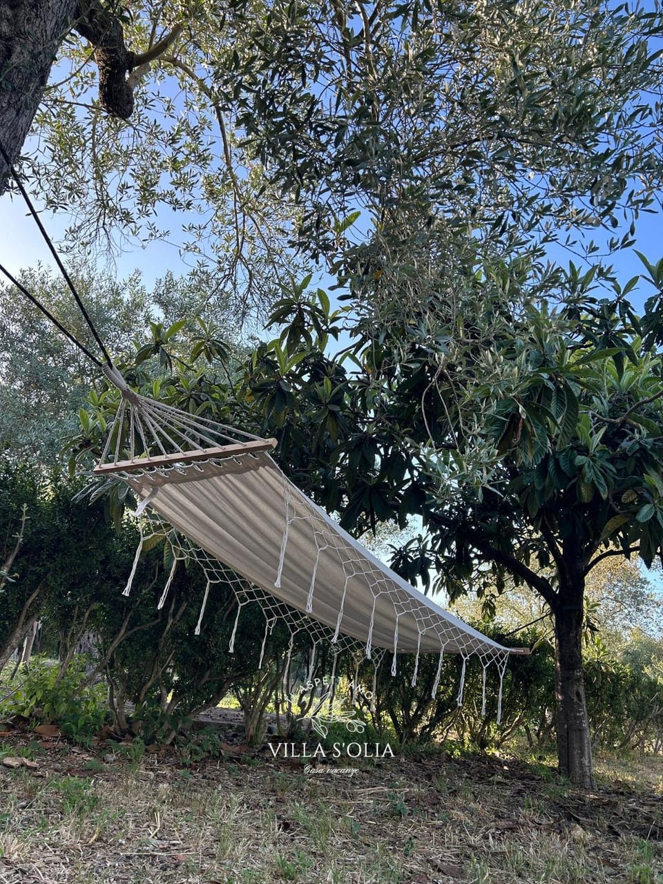 Villa S'Olia House in Sassari