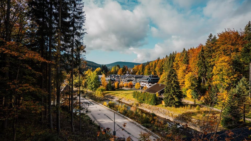 Property building, Day, Neighbourhood, Autumn