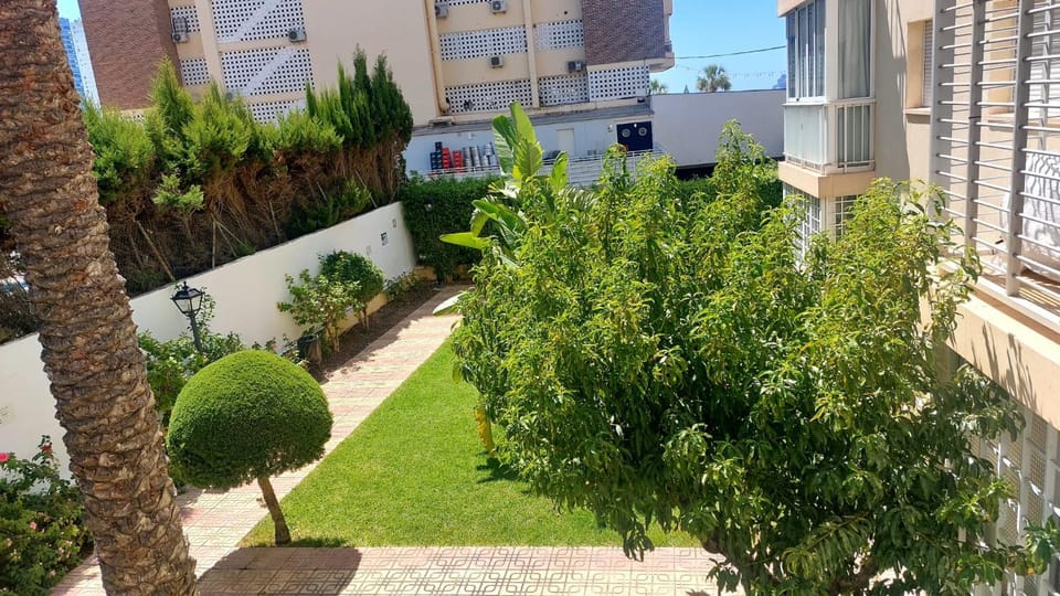 Garden view