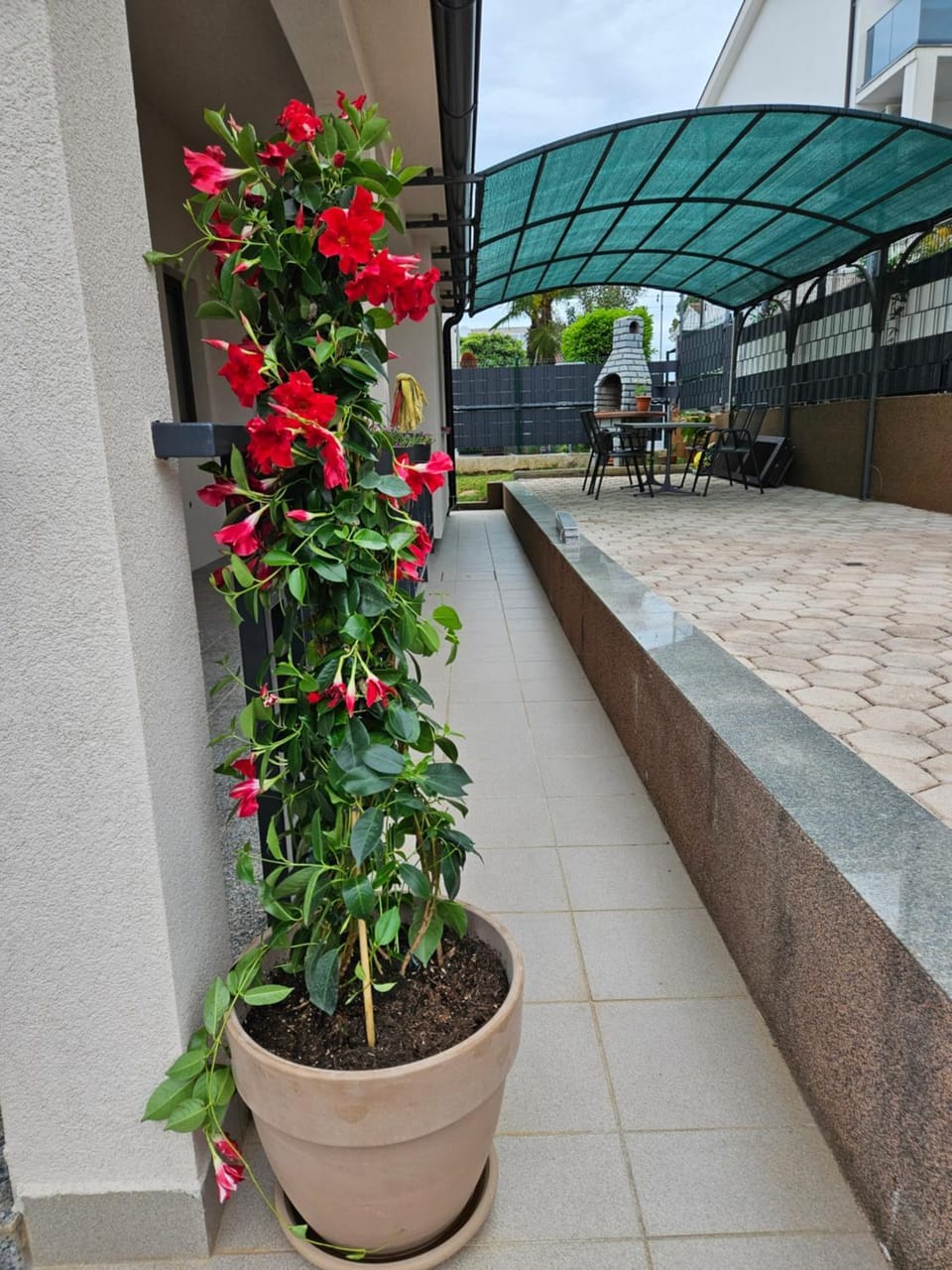 Patio, Balcony/Terrace, Garden view