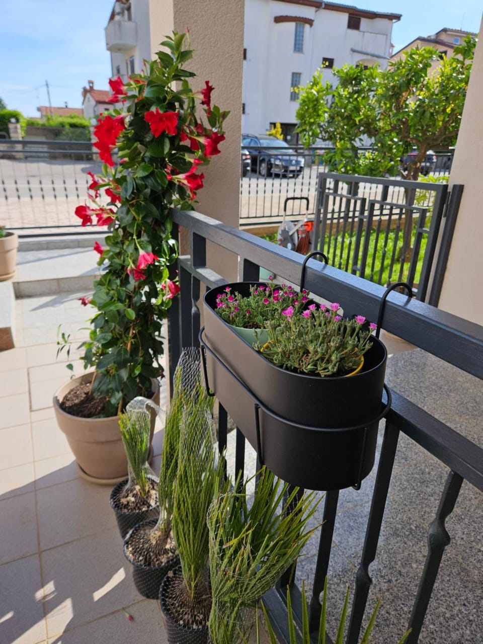 Day, Balcony/Terrace, Garden view