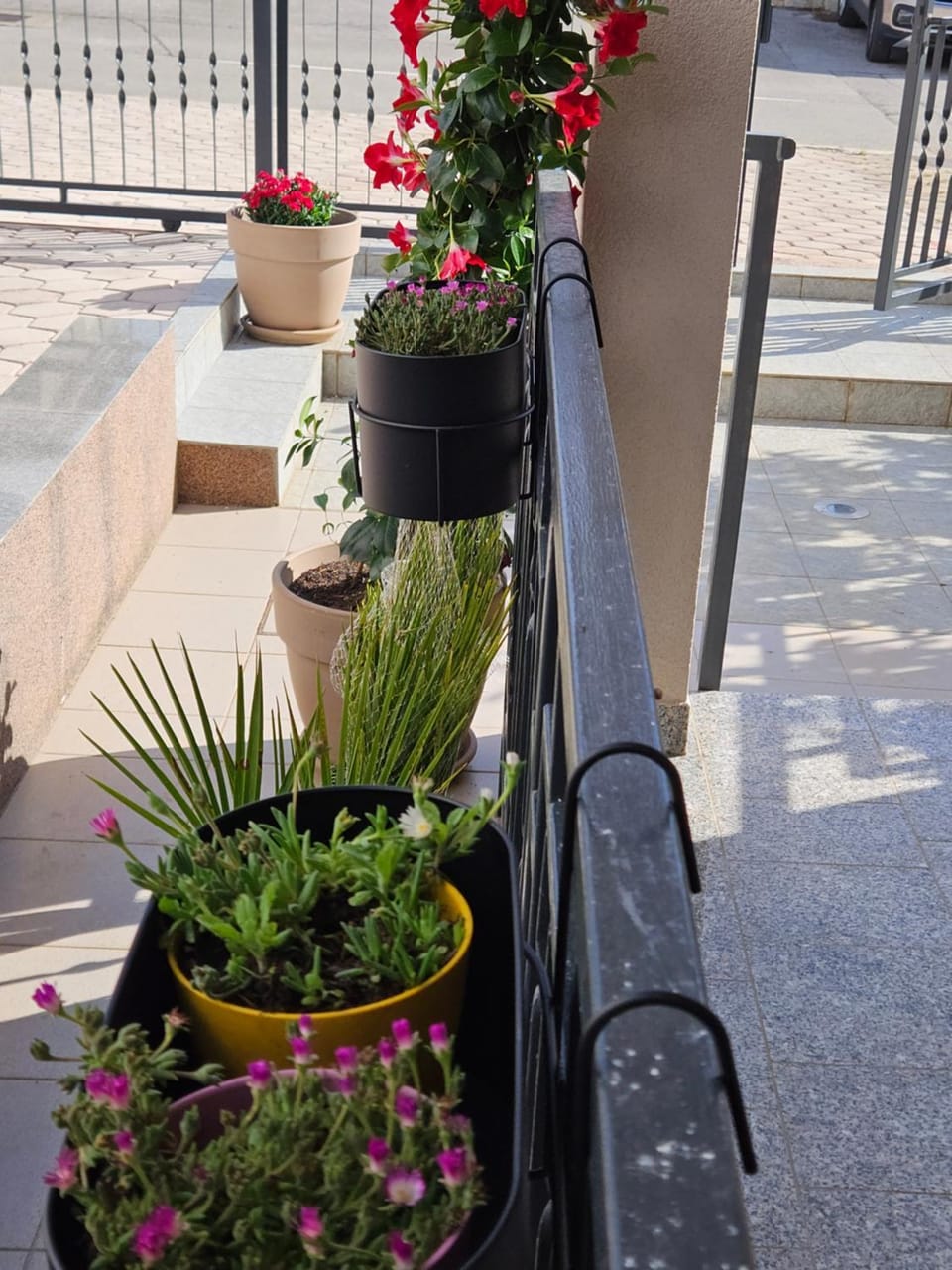Day, Garden, Balcony/Terrace
